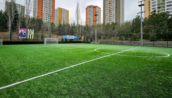 Mesa Koru Halı Saha 1